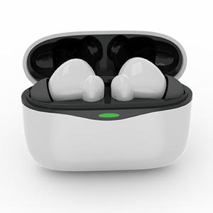 WIRELESS STEREO EARBUDS